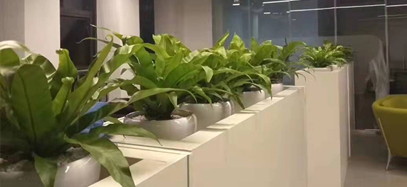 瓶中景觀受大家歡迎